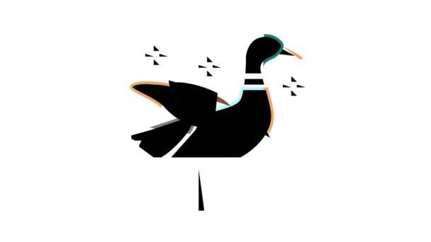 Stuffed decoy for duck color icon animation — Stock Video