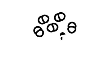 enterococcus enfeksiyon çizgi canlandırması