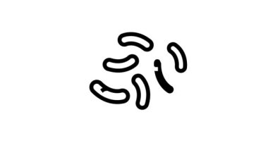 gut bakteri çizgi canlandırması