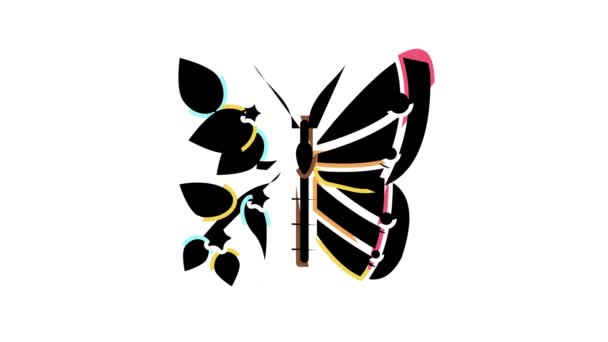 Анімація значка метелика бухо кольору — стокове відео
