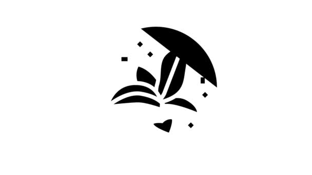Квітка Бохо лінія іконка анімація — стокове відео