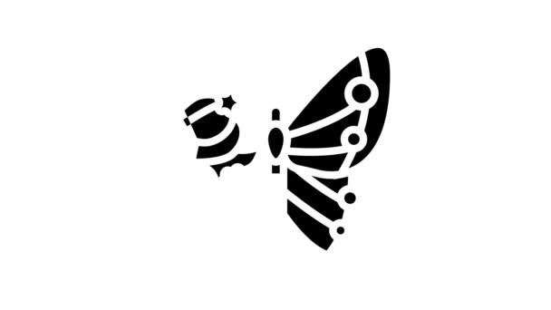 Animace ikon boho-line motýla — Stock video