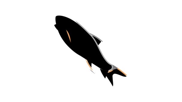 Rohu fisk färg ikon animation — Stockvideo