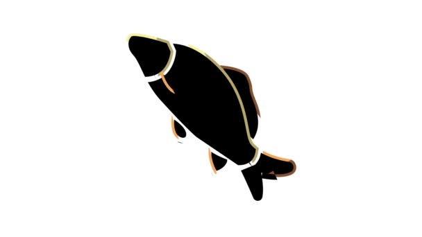 Animação ícone cor carpa comum — Vídeo de Stock