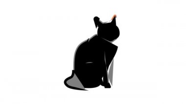 kedi cadılar bayramı renk canlandırması