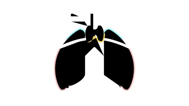 Thymus endocrinology color icon animation — Stock Video