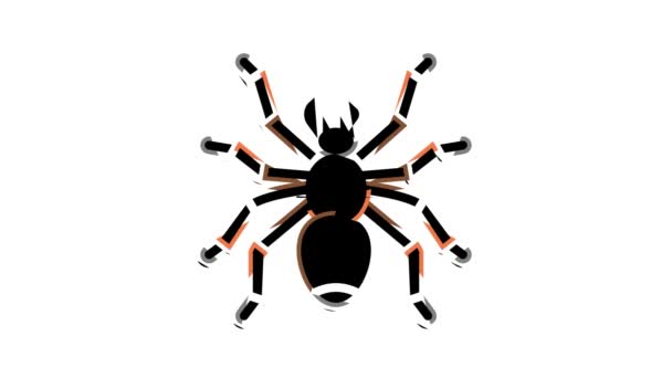 Araña halloween color icono animación — Vídeo de stock