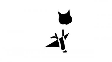 kedi cadılar bayramı çizgi simgesi canlandırması