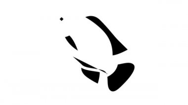 nile tilapia glyph simge animasyonu