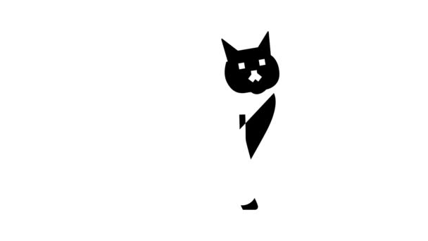 Kat halloween glyph pictogram animatie — Stockvideo