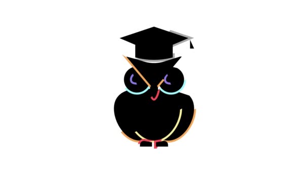 Wisdom owl color icon animation — Stock Video