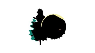 Ladin ahşap renk canlandırması