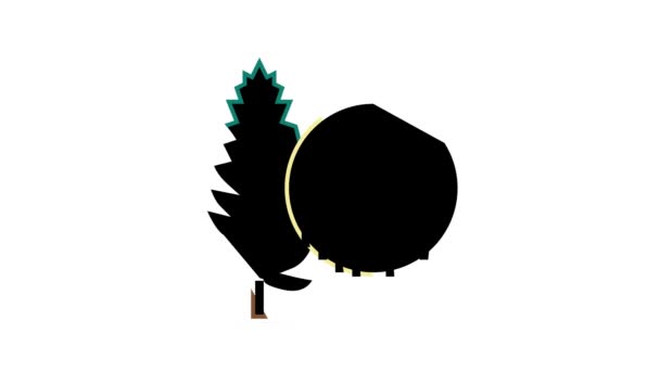 Ikona kolorów drewna sosnowego animacja — Wideo stockowe