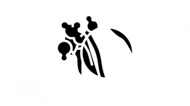 okaliptüs ahşap çizgi canlandırması