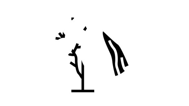 Eucalyptus bois glyphe icône animation — Video