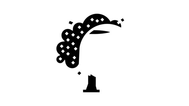 Cerisier bois glyphe icône animation — Video