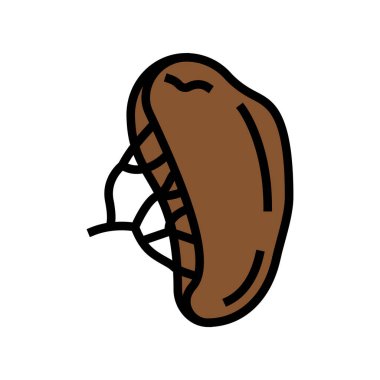 Dalak insan organı renk ikonu vektör çizimi