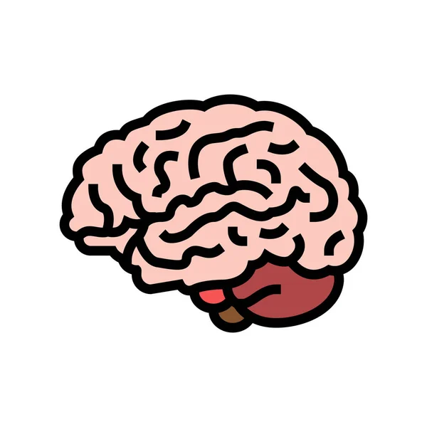 Hersenen anatomie orgaan kleur pictogram vector illustratie — Stockvector