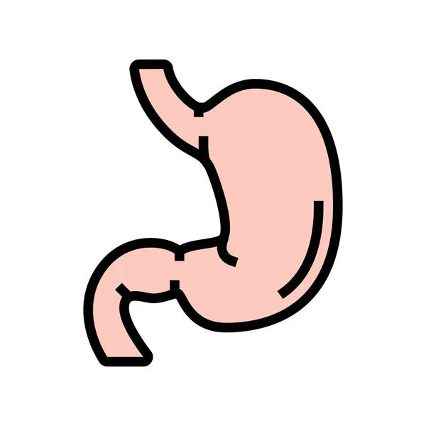 Żołądek ludzki organ kolor ikona wektor ilustracja — Wektor stockowy
