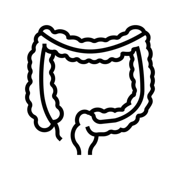 Línea de órgano humano colon icono vector ilustración — Vector de stock