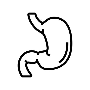 Mide insan organı çizgisi ikon vektör çizimi