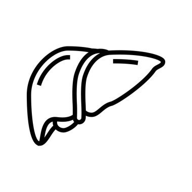 Karaciğer insan organı çizgisi vektör çizimi