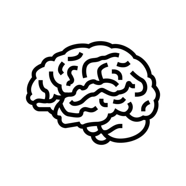 Beyin anatomisi organ çizgisi ikon vektör çizimi — Stok Vektör