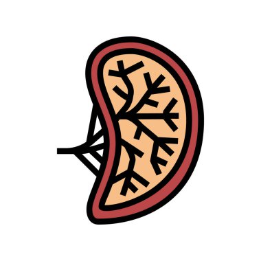 Dalak insan organı renk ikonu vektör çizimi