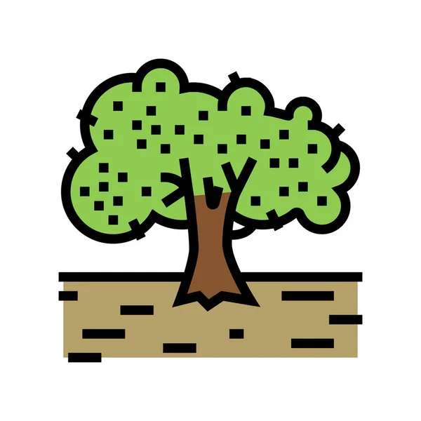 Цветовая векторная иллюстрация иконок оливкового дерева — стоковый вектор