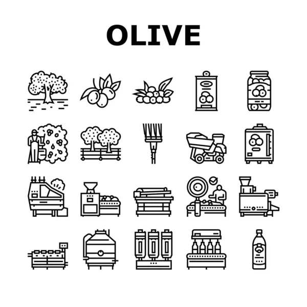 Ensemble d'icônes de production et de récolte d'olives vecteur — Image vectorielle