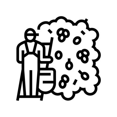 Elle toplanan zeytin çileği çizgisi simgesi çizimi