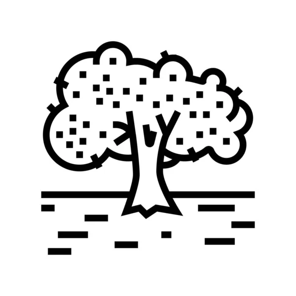 Cultivation olive tree line icon vector illustration —  Vetores de Stock