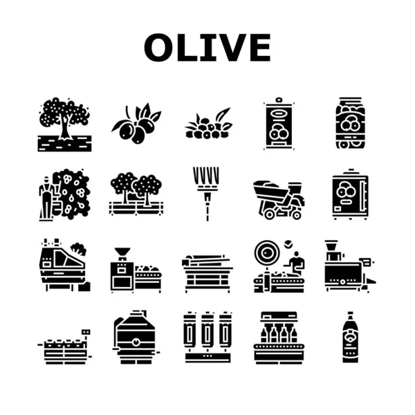 Ensemble d'icônes de production et de récolte d'olives vecteur — Image vectorielle