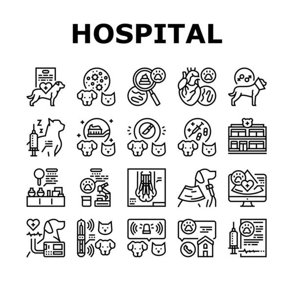 Hospital Pet Health Examination Icons Set Vector — Vetor de Stock