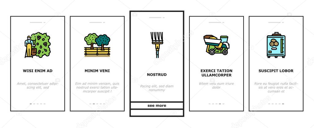 Olive Production And Harvesting Onboarding Icons Set Vector