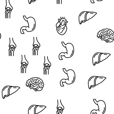 İnsan İç Organ Anatomisi Vektörü Kusursuz Desen