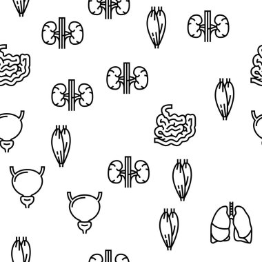 İnsan İç Organ Anatomisi Vektörü Kusursuz Desen