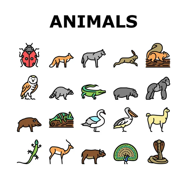 Wild Animals, Bugs And Birds Icons Set Vector — Stock Vector
