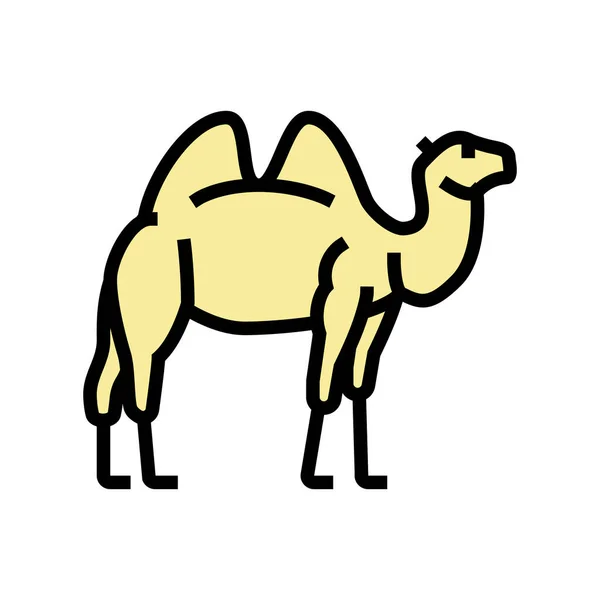 Animal de camelo em zoológico cor ícone vetor ilustração —  Vetores de Stock