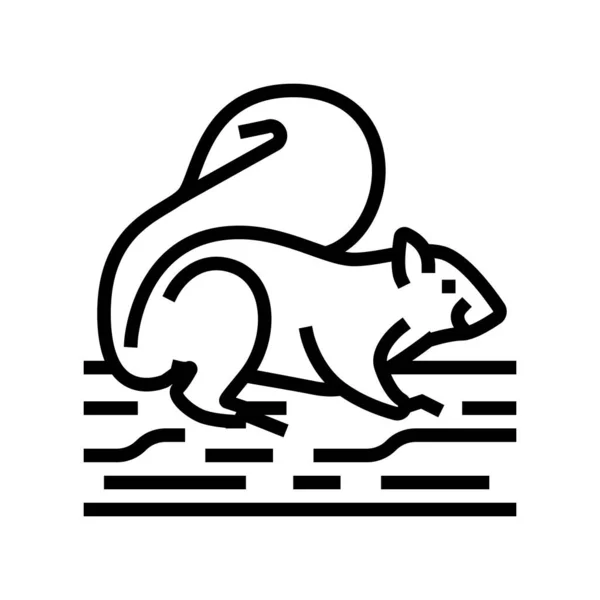 Squirrel wild animal line icon vector illustration — 스톡 벡터