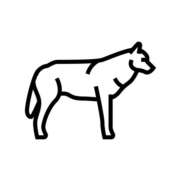 Vlk divoké zvíře linie vektorové ilustrace — Stockový vektor