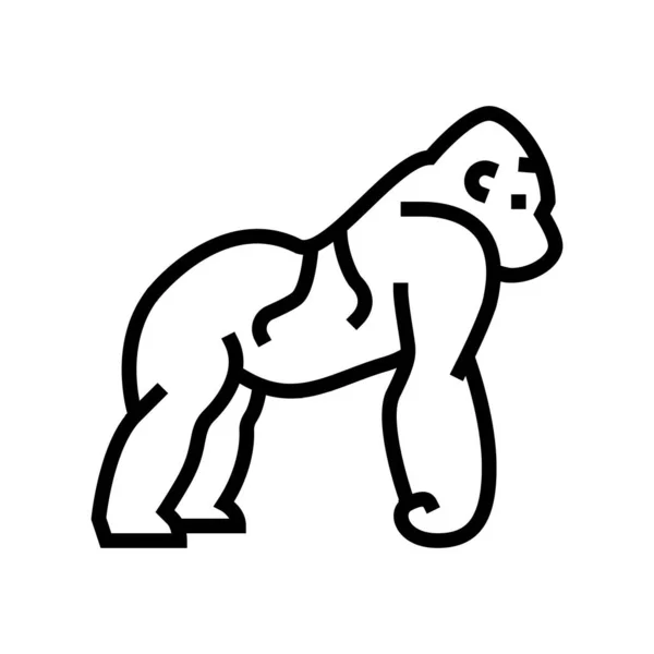 Gorila selvagem animal linha ícone vetor ilustração —  Vetores de Stock