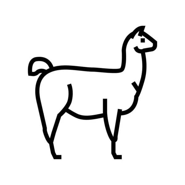Lama vahşi hayvan çizgisi ikon vektör çizimi — Stok Vektör