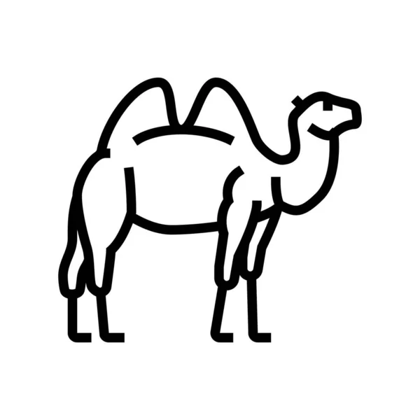 Animal de camelo em linha zoológico ícone vetor ilustração —  Vetores de Stock
