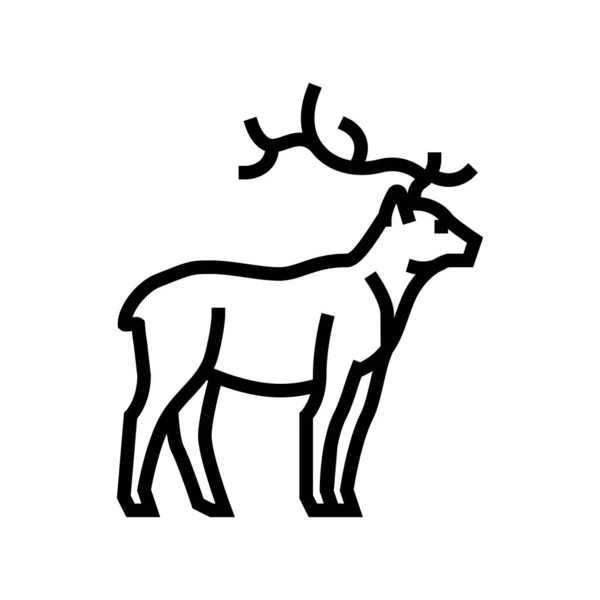 Hayvanat bahçesi çizgisi ikon vektör illüstrasyonunda geyik hayvanı — Stok Vektör