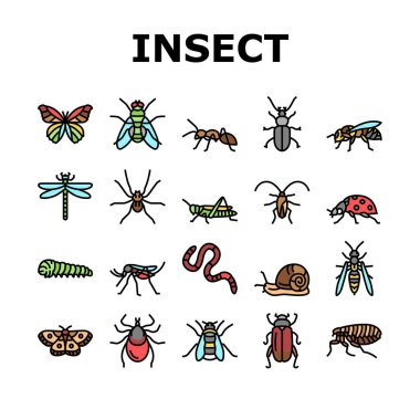 Böcek, Örümcek ve Böcek Vahşi Yaşam Simgeleri Vektörü Ayarladı