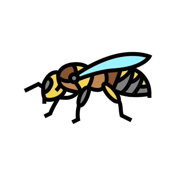 Bee insect color icon vector illustration — Stock Vector
