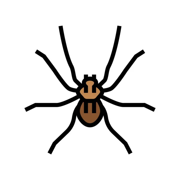 Spider insect color icon vector illustration — Stock Vector