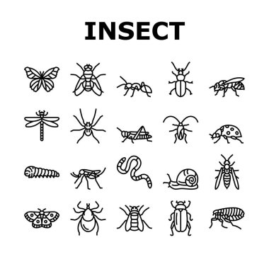 Böcek, Örümcek ve Böcek Vahşi Yaşam Simgeleri Vektörü Ayarladı