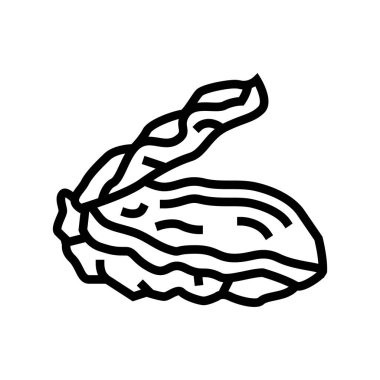 istiridye kabuk çizgisi vektör illüstrasyonunu açtı